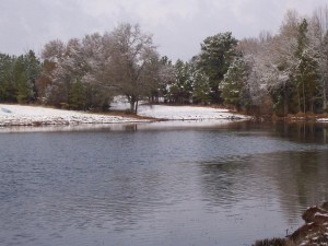 Pond during snow